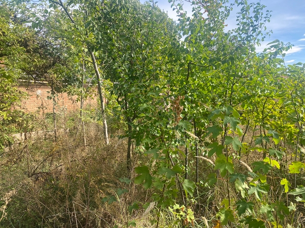 Picture of the event.