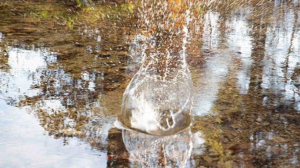 Foto eines Sees, die Wasseroberfläche ist bewegt
                                          von einem Gegenstand der hineingefallen ist.
