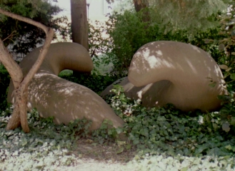 more traces Filmstill