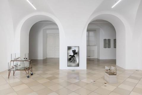 Exhibition view, Paradise Rot, 2025, photo: Manuel Carreon Lopez, kunstdokumentation.com
