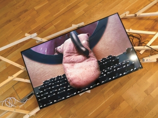 exhibition view