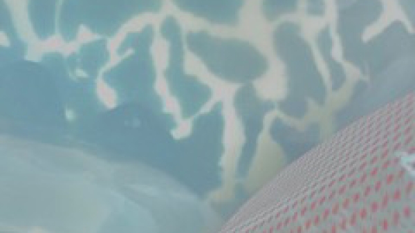 Exhibition photo @Birgit F. & Elena Riener