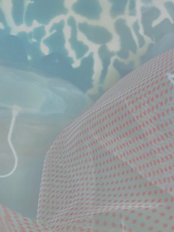 Exhibition photo @Birgit F. & Elena Riener