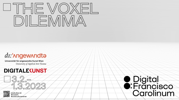The Voxel Dilemma 