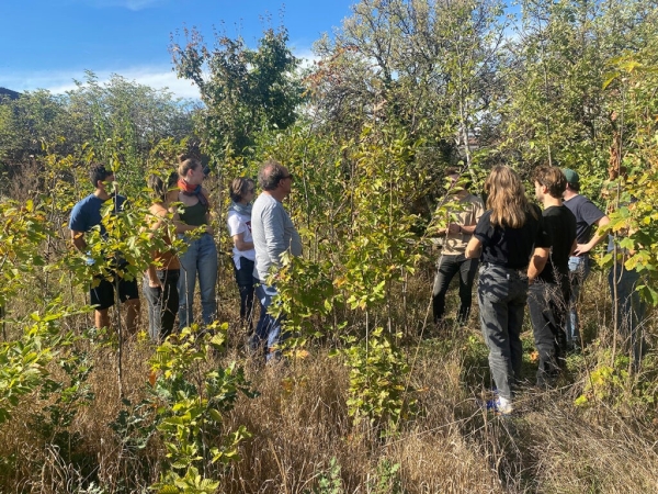 Students in the forest