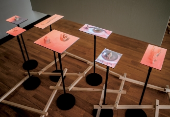 exhibition view