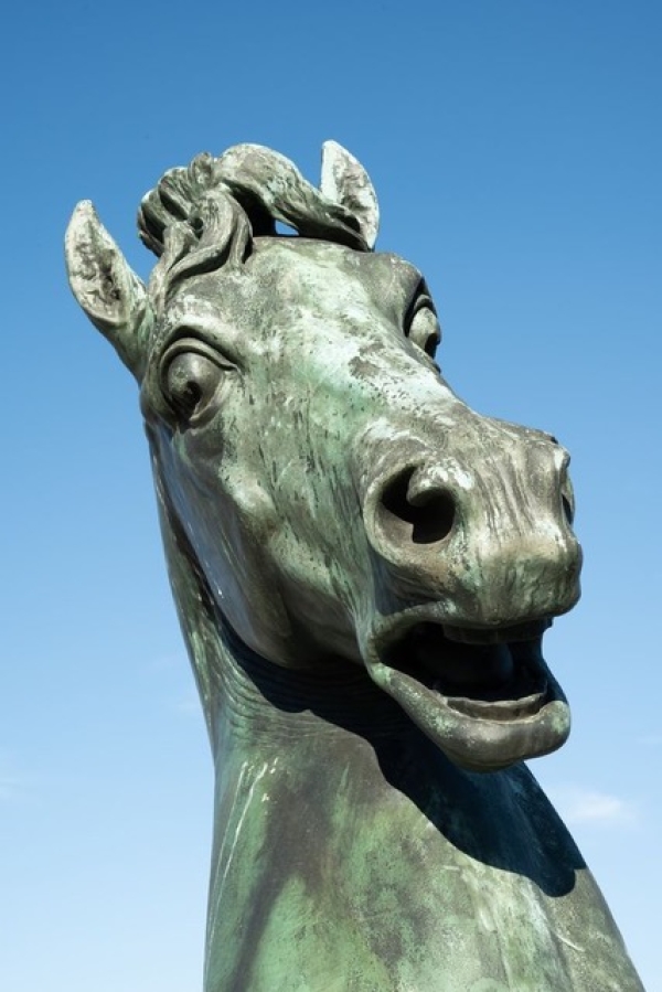A
                                          horses head, bronce sculpture