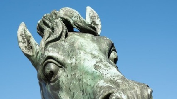 A horses head, bronce sculpture