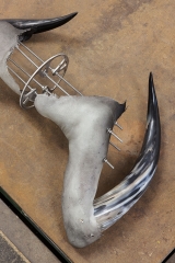 Teeth meet stone, 2024, photo by Kunstdokumentation