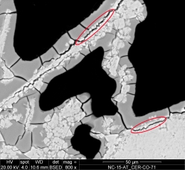 Gypsum crystals forming a weathering crust on a marble tombstone, © Institute of Conservation,
                                          University of Applied Arts Vienna / Johannes Weber