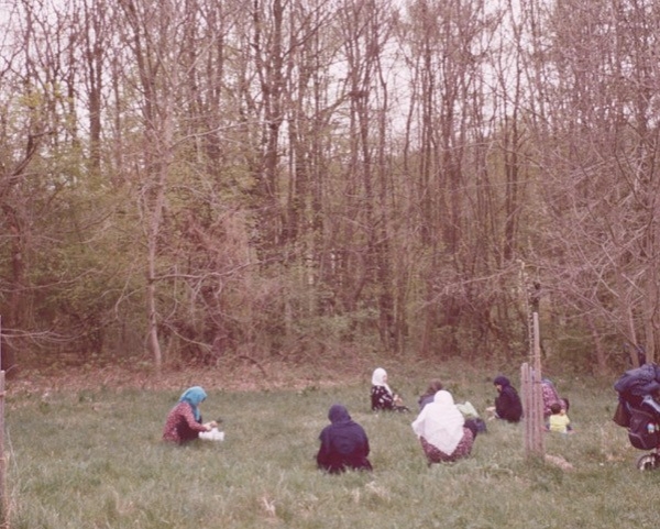 Mehrere Frauen knien vor einem Waldstueck in der Wiese und sammeln
                                          Kraeuter