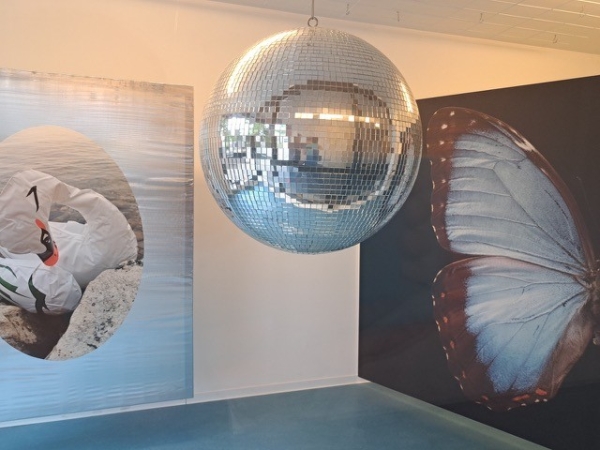 Bevor die Sonne untergeht