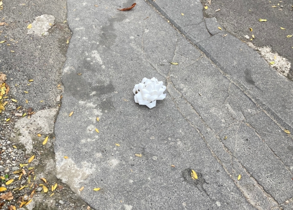 Sidewalk with a gift flower